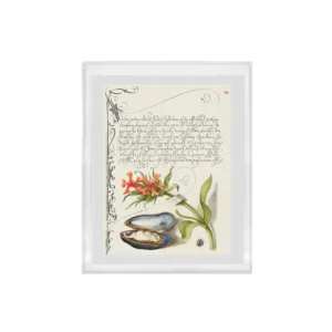 Añadida al Wishlist