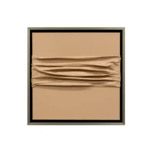 Añadida al Wishlist