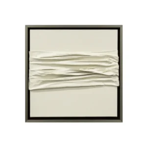 Añadida al Wishlist