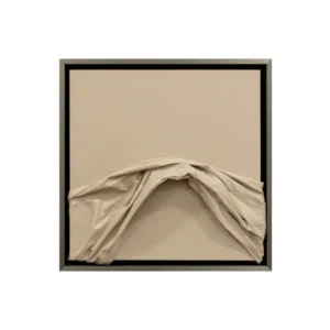 Añadida al Wishlist