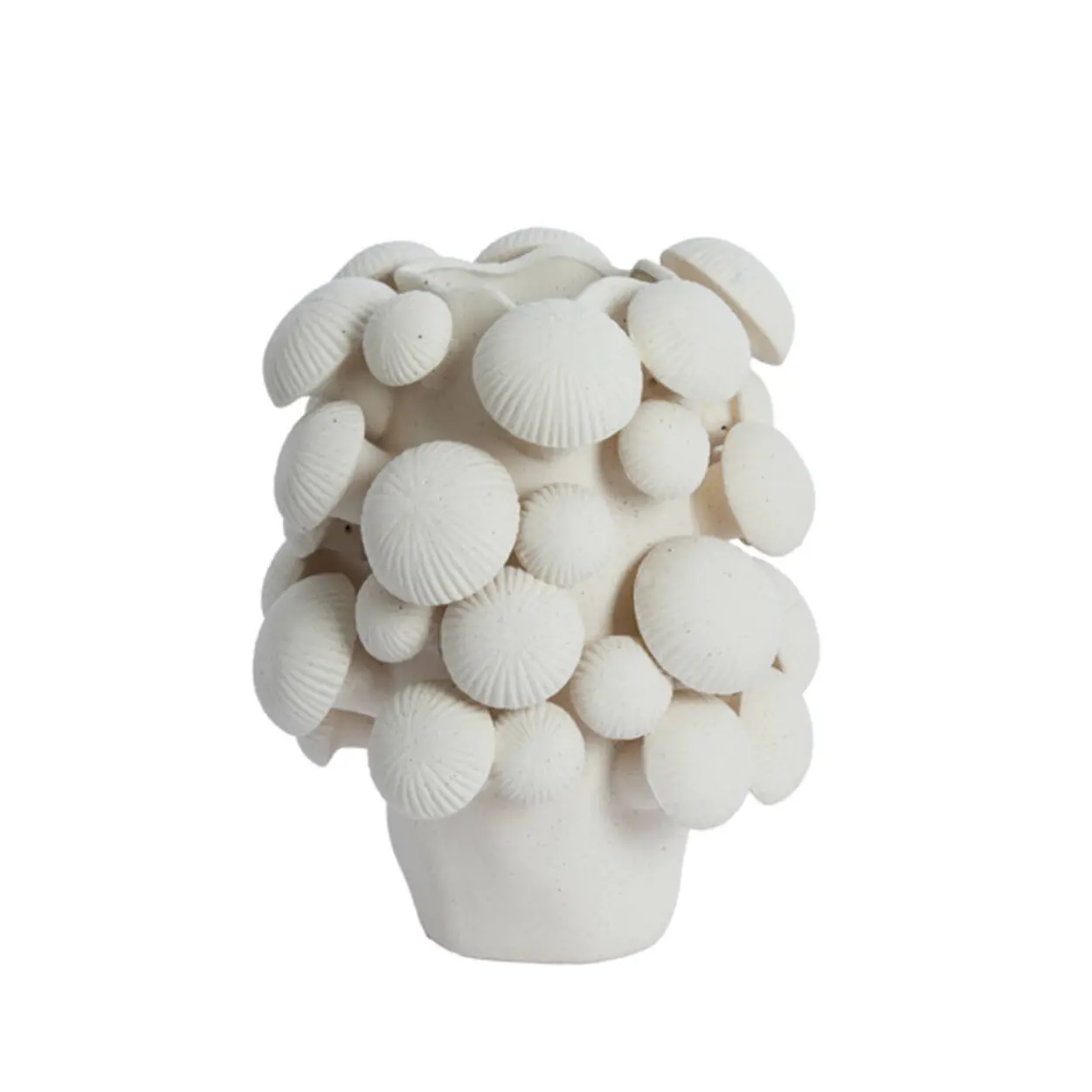 JARRON PLENTZIA MATT CREAM M