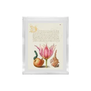 Añadida al Wishlist