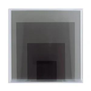 Añadida al Wishlist