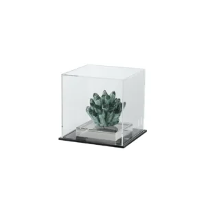 Añadida al Wishlist